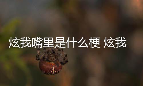 炫我 炫的方哪里么梗言我嘴里意嘴里处是是什思出