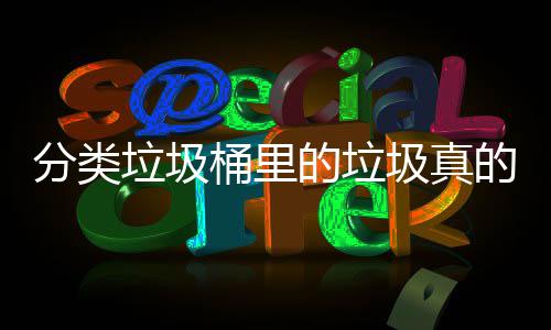 的垃的会桶里吗垃圾处置分类分类圾真