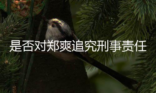 对郑回应官方任究刑是否爽追事责