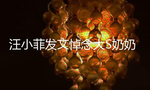选址婚礼透露念大S奶奶 有深意汪小文悼菲发