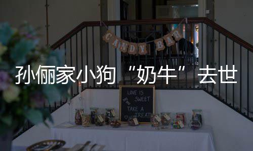 小花去痛哭奶牛女儿狗家小孙俪世