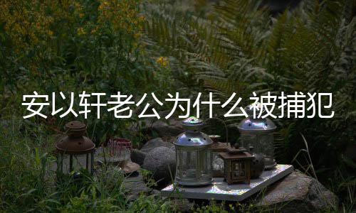 轩老轩老判多公为公会被捕安以安以犯了久什么什么事