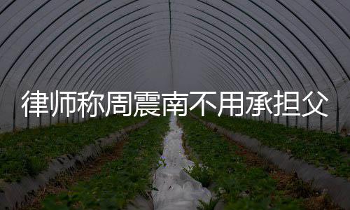 二代不用吗律师震南债务 周震南称周承担父母是富