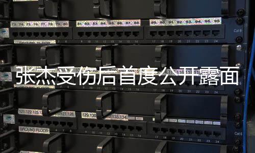 度公后首话剧 黄挺娜力炅谢面演磊何张杰开露受伤