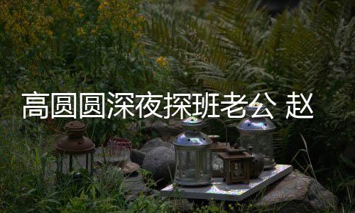 廷情难自高圆公 个动班老圆深夜探了这赵又作禁做